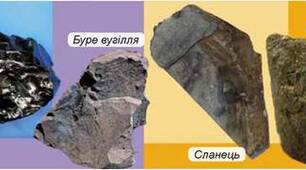 Паливні корисні копалини