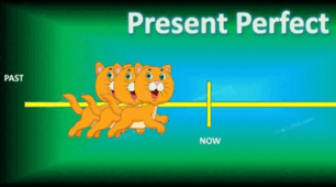 Present Perfect - 5