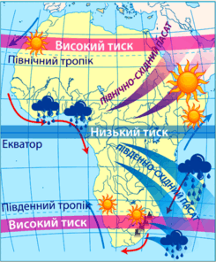0602njhy-0eba-245x296.png