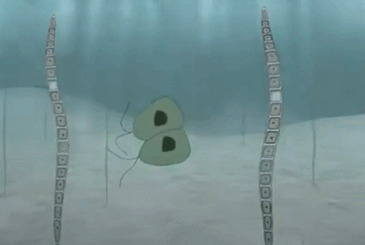0602nlm7-71de-529x355.png