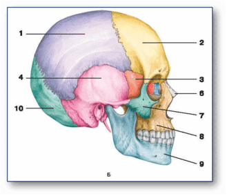 0602nr0y-7bc3-329x284.png