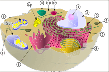 0602nraj-7d2f-355x237.png