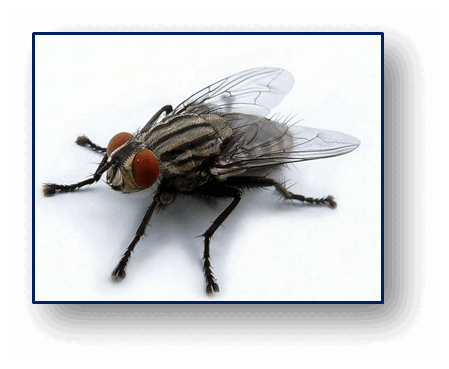 0602nrdb-d8c3-449x369.png