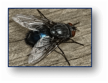 0602nrdo-847a-438x339.png