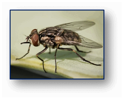 0602nref-93d2-411x330.png