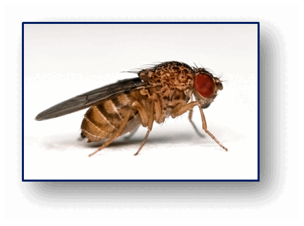 0602nrin-6908-445x331.png