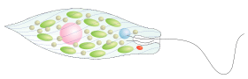0602nuse-10e0-853x275.png