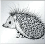 0602nvz4-f8fc-160x157.png