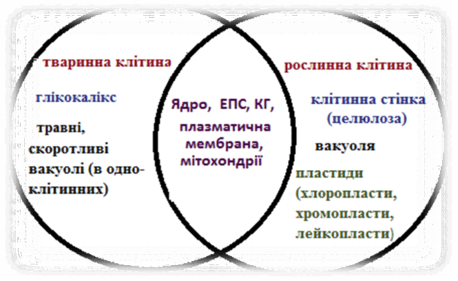 0602nw2b-59ce-665x408.png