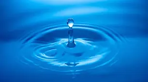 Чому вода найдивовижніша рідина на Землі . 5 кл НУШ