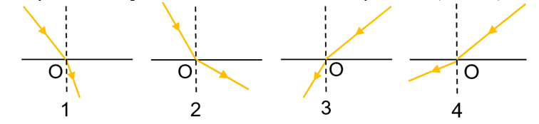 0602nzqx-dd97-756x174.png