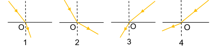 0602nzsc-27b9-767x165.png