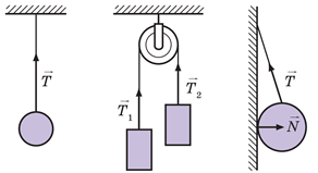 0602nzxd-5b63-292x159.png
