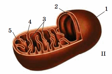 0602o0ry-72d5-434x287.png