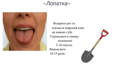 0602o4je-07d7-367x216.png