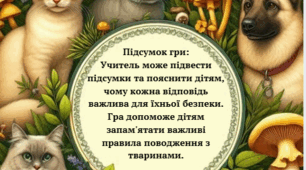 Гра "Вірю - не вірю"