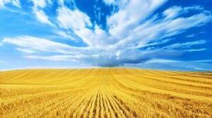 WE LIVE IN UKRAINE