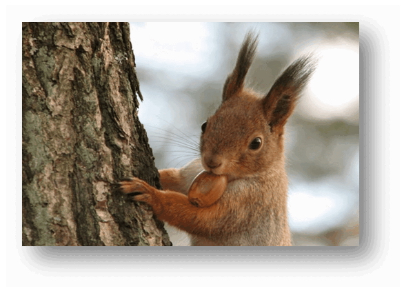0602o79c-cf39-586x422.png