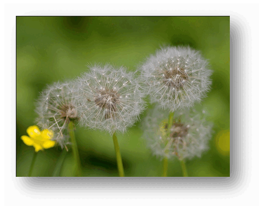 0602o79n-b08d-529x422.png