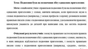 План-конспект "Подвоєння букв на позначення збігу однакових приголосних"