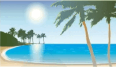 0602o9zs-9702-233x134.png