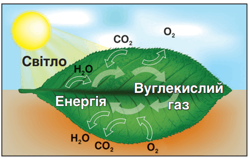 0602obvc-c440-513x327.png