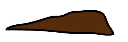 0602ocn5-bed2-435x143.png
