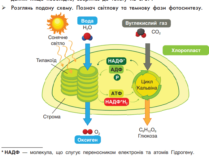 0602oco5-f0c7-675x510.png