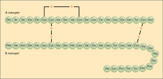 0602od62-eb20-321x157.png