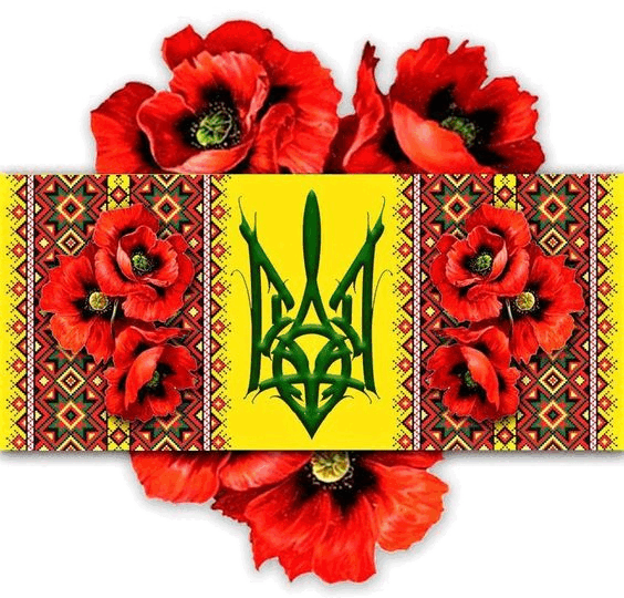0602odna-2d9e-564x540.png