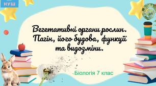 Презентація НУШ "Вегетативні органи рослин. Пагін, його будова, функції та видозміни."