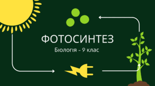 Фотосинтез. 