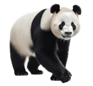 0602oejs-c363-309x285.png