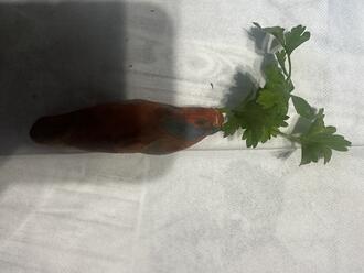 0602oelb-4d15-330x248.jpg
