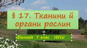 Презентація   «Тканини й органи рослин»   7клас  НУШ