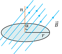 0602ogns-04c3-249x215.png