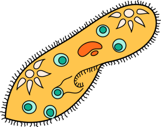 0602oh0n-0006-324x257.png