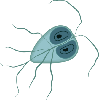0602oh15-1306-334x340.png