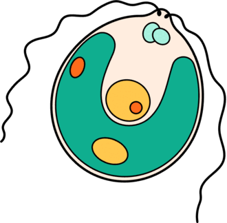 0602oh3c-0bba-330x324.png