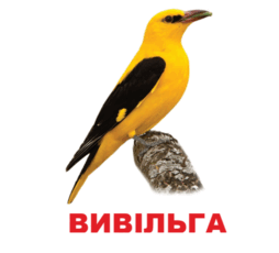 0602oi6n-386c-254x230.png