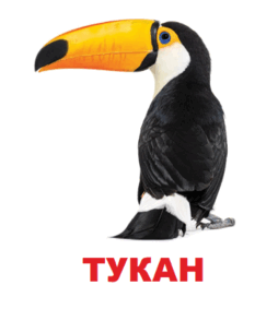 0602oijt-db18-254x283.png