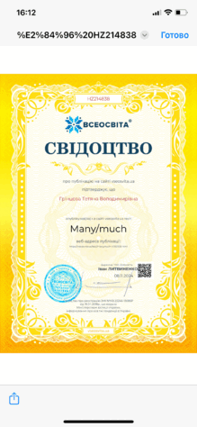  Many/much