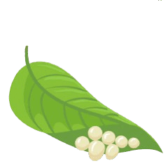 0602ooa3-73ee-240x240.png