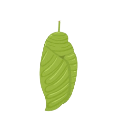 0602ooa9-02d2-240x240.png