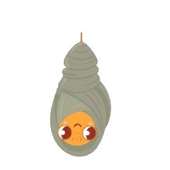 0602ooac-c13c-240x240.png