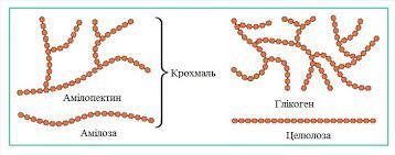 0602oov5-6682-358x141.jpg