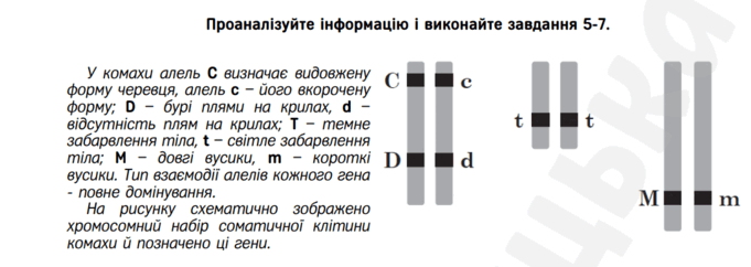 0602opej-c1d6-681x242.png