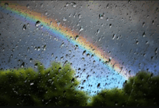 0602opey-c5a8-226x154.png