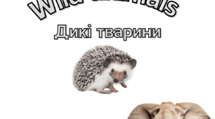 Дикі тварини (англійською)