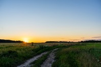 Безкоштовне стокове фото: безтурботний, вечір, відкрита краса, відкрите поле, горизонт, ґрунтова дорога, дика місцевість, захід сонця, захід сонця небо, зелень, золота година, краєвид, край дня, лінії горизонту, луг, мальовничий, мирний, навколишнє ...